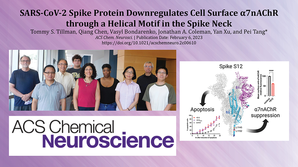 "A graphic with the logo for ACS Chemical Neuroscience, a 3D graphic demonstrating findings of the article, and a group photo of the authors"