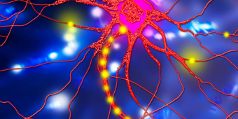 computer artwork of nerve cells
