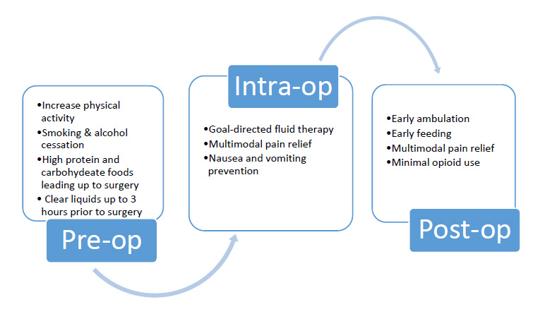"A graphic flowchart depicting the ERP program from pre-op, intra-op, to post-op"
