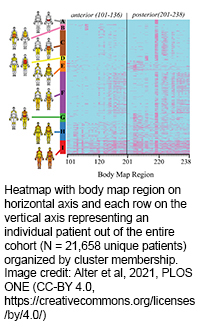 "A graph depicting body heatmaps relating to the article"