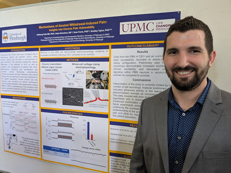Anthony Cole stands smiling in front of a scientific poster titled “Mechanisms of Alcohol Withdrawal-Induced Pain: Insights into Chronic Pain Vulnerability.” The poster features logos from the University of Pittsburgh and UPMC and presents data from electrophysiological experiments using a mouse model. The layout includes sections on introduction, hypothesis, methods, results, and conclusions, along with diagrams, graphs, and microscopic images. The presenter wears a gray blazer and dark polka-dot shirt.