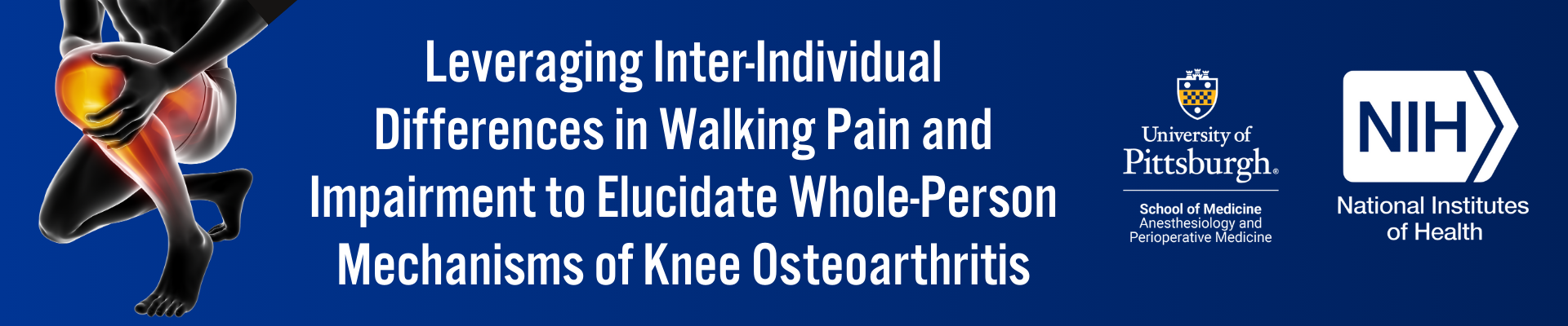 Banner featuring a stylized image of a person clutching their knee, which is highlighted in red and orange to indicate pain. Text reads: “Leveraging Inter-Individual Differences in Walking Pain and Impairment to Elucidate Whole-Person Mechanisms of Knee Osteoarthritis.” On the right are logos for the University of Pittsburgh School of Medicine, Department of Anesthesiology and Perioperative Medicine, and the National Institutes of Health (NIH).