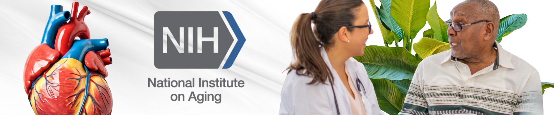 anatomic heart model on the left, National Institute on Aging logo in the center, and a photo of a female healthcare provider talking to an elderly patient on the right