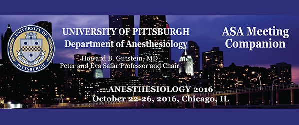 "Header graphic with the University of Pittsburgh crest, date and location of the ASA meeting, set on a backdrop of the Chicago skyline"