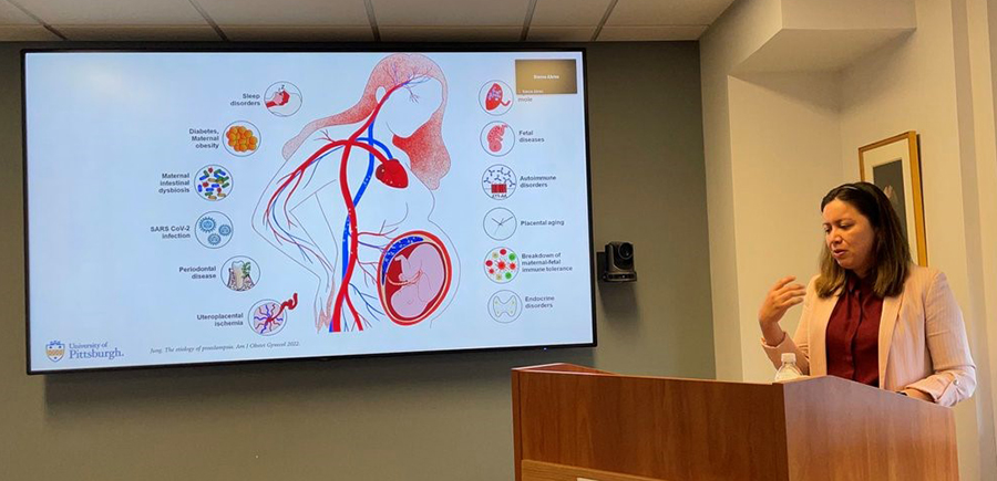 "Doctor Ibarra presenting with a slide depicting the circulatory system of a pregnant woman"