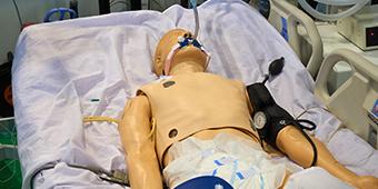Simulation mannequin