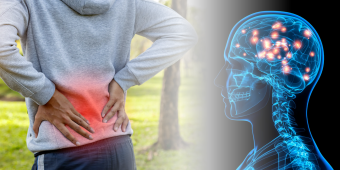 Composite image representing chronic pain. On the left, a person in a gray hoodie stands outdoors with both hands on their lower back, which is highlighted in red to indicate pain. On the right, a digital rendering of a human head and upper spine shows the brain lit up with glowing points, symbolizing psychology.