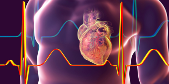 Graphic featuring a 3D model of a heart inside of a transparent body shape