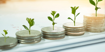 coin stacks with small trees on top