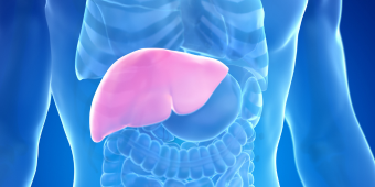 Graphic featuring 3D model of a human liver