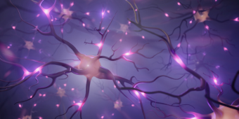 visualization of neurons and signals