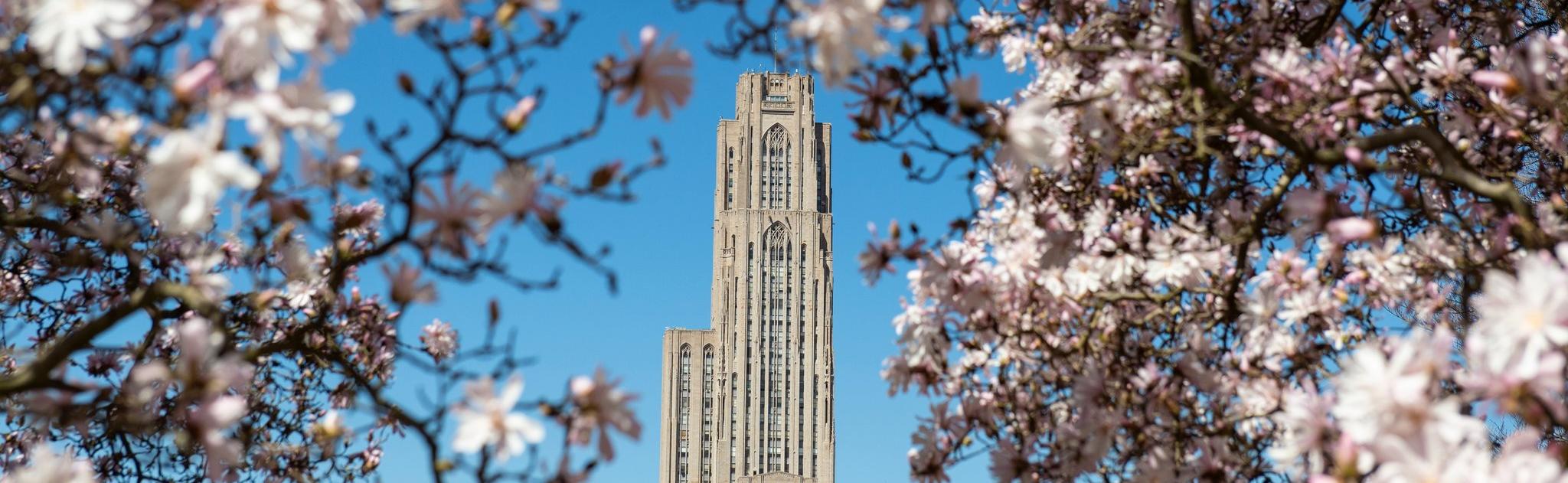 cathedral of learning