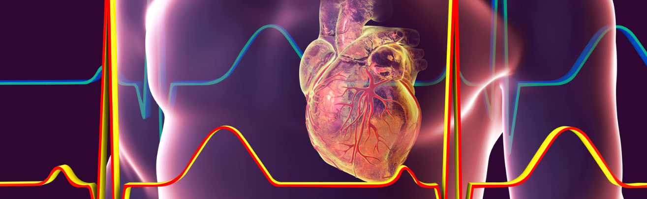 a graphic showing a 3d illustration of a heart