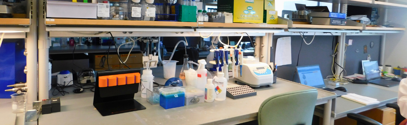 research desk at a lab