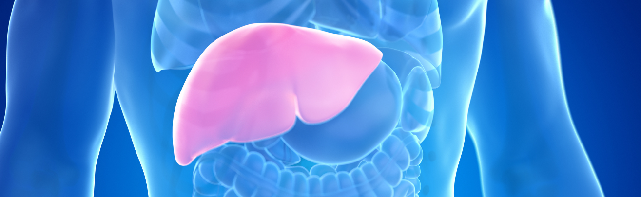 Graphic featuring 3D model of a human liver