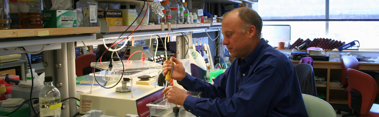 researcher working in a lab